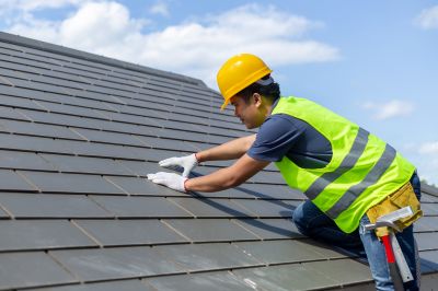 Expert Roofing Consultation